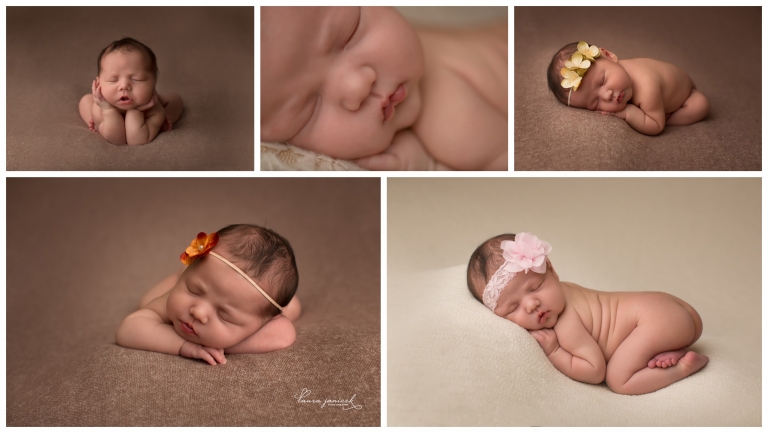 Nashville Franklin Newborn Photographer