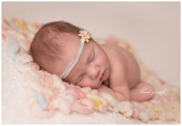 Laura Janicek Photography