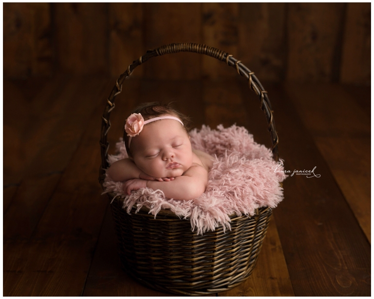 Laura Janicek Photography