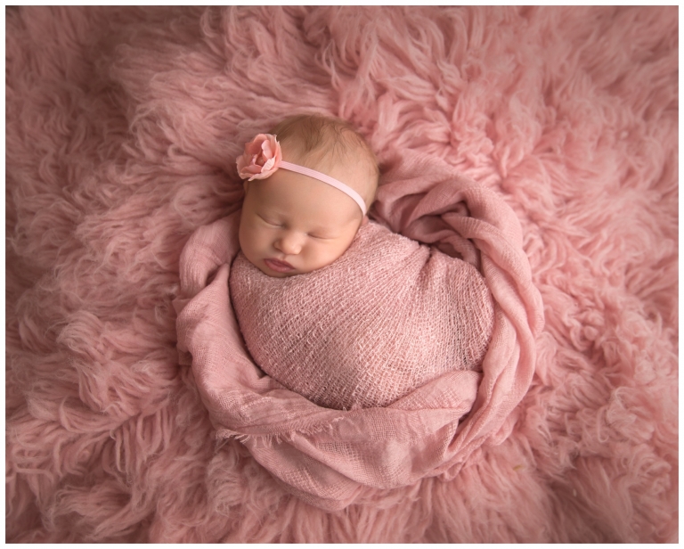 Nashville Newborn Photography