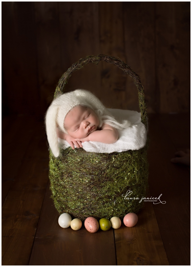 Laura Janicek Photography