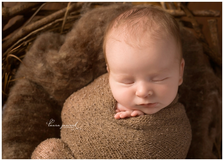 Nashville Newborn Photographer Laura Janicek Photography