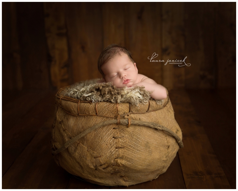 Laura Janicek Photography Nashville Newborn Photographer