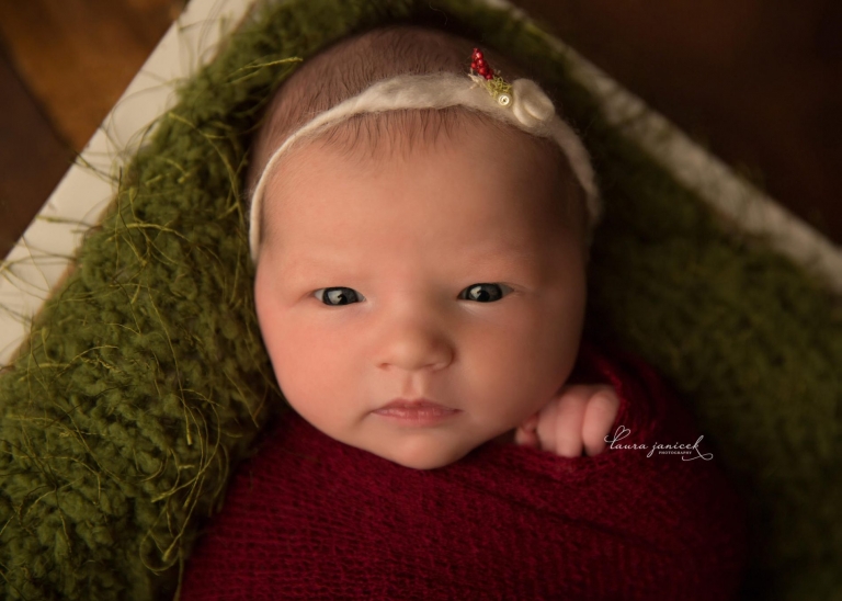 Nashville Newborn Photographer Laura Janicek Photography