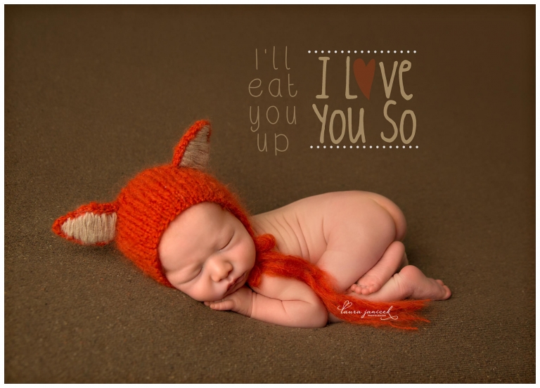 Nashville Newborn Photographer Nashville Baby Photographer Laura Janicek Photography